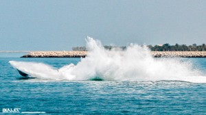 IMG_3367